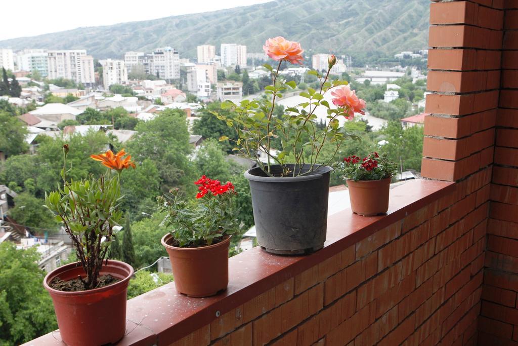 My House Is Your Hotel Tbilisi Bilik gambar